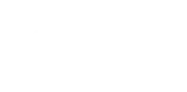 猫爪